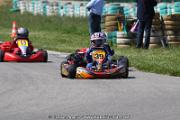 20110501_ales_agnus (2386)